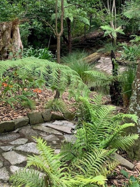 Private Guest Wing - Durie Vale Lodge Whanganui Extérieur photo